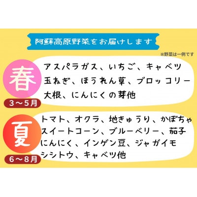 【毎月定期便】【阿蘇 郷乃舎】野菜ソムリエ上級プロ厳選 農家直送こだわり野菜 6～8品目全3回