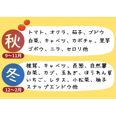 【毎月定期便】【阿蘇 郷乃舎】野菜ソムリエ上級プロ厳選 農家直送こだわり野菜 6～8品目全3回