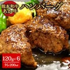 あか牛100%ハンバーグセット(あか牛ハンバーグ120g×6個 あか牛のたれ200ml)(阿蘇市)