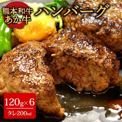 あか牛100%ハンバーグセット(あか牛ハンバーグ120g×6個 あか牛のたれ200ml)(阿蘇市)