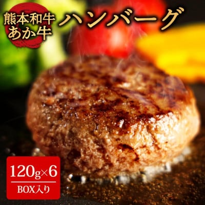 くまモンあか牛ハンバーグセット (あか牛ハンバーグ120g×6個)(阿蘇市)