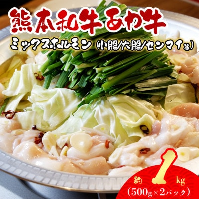 熊本和牛あか牛ホルモン1kg(500g×2)(阿蘇市)