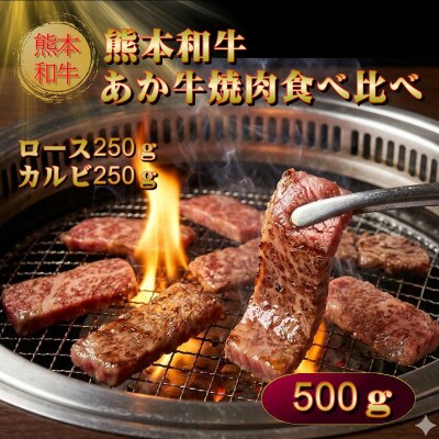 熊本県産あか牛焼肉食べ比べ 500g(阿蘇市)