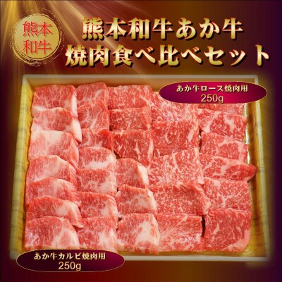 熊本県産あか牛焼肉食べ比べ 500g(阿蘇市)