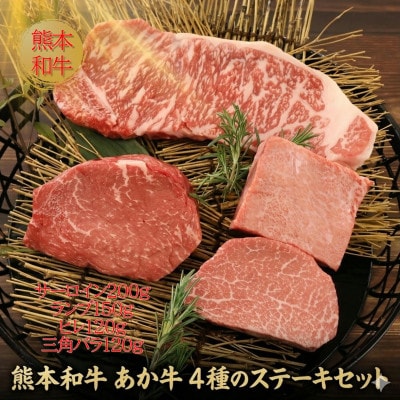 熊本県産あか牛4種のステーキセット(阿蘇市)