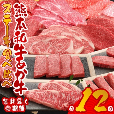 【毎月定期便】あか牛ステーキ12種 食べ比べ(阿蘇市)全12回