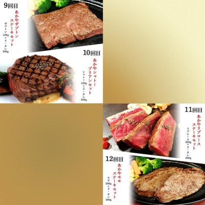 【毎月定期便】あか牛ステーキ12種 食べ比べ(阿蘇市)全12回
