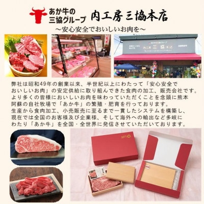 【毎月定期便】熊本和牛あか牛贅沢 定期便【12ヶ月】(阿蘇市)全12回