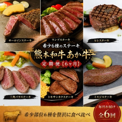 【毎月定期便】熊本和牛あか牛希少6種のステーキ 定期便【6ヶ月】(阿蘇市)全6回