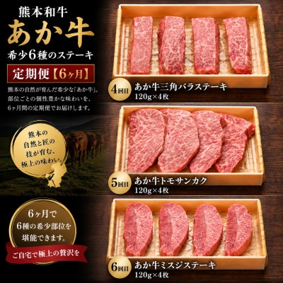 【毎月定期便】熊本和牛あか牛希少6種のステーキ 定期便【6ヶ月】(阿蘇市)全6回