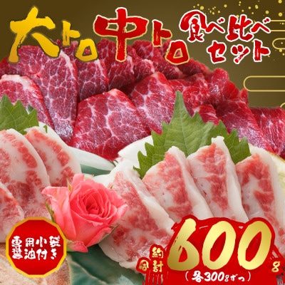 【熊本と畜】大トロ・中トロ馬刺しのセット 600g(各300g)(阿蘇市)