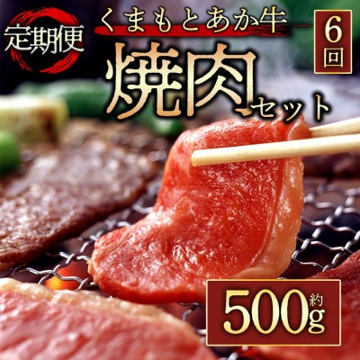 【毎月定期便】【GI認証】くまもとあか牛　焼肉用約500g(阿蘇市)全6回