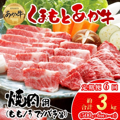 【毎月定期便】【GI認証】くまもとあか牛　焼肉用約500g(阿蘇市)全6回