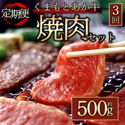 【毎月定期便】【GI認証】くまもとあか牛　焼肉用約500g(阿蘇市)全3回
