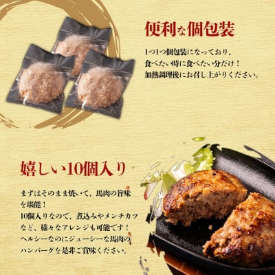 【毎月定期便】馬肉ハンバーグ 150g×10個(阿蘇市)全3回