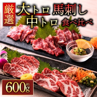 【熊本　と畜】霜降り馬刺しの食べ比べ約600g 大トロ馬刺し・中トロ馬刺し各約300g(阿蘇市)