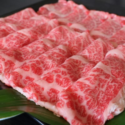 厳選されたGI認証　くまもとあか牛　特選すき焼き用　500g(阿蘇市)