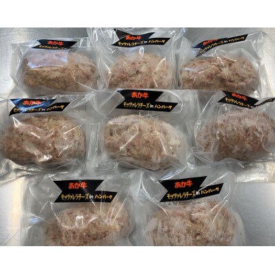 【毎月定期便】肥後の赤牛のチーズインハンバーグ (150g×8個)(阿蘇市)全3回