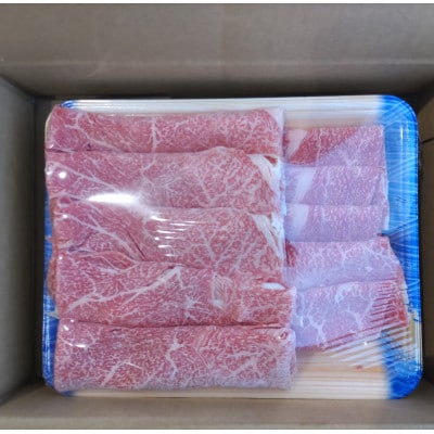【毎月定期便】厳選されたGI認証　くまもとあか牛　特選すき焼き用　500g(阿蘇市)全3回