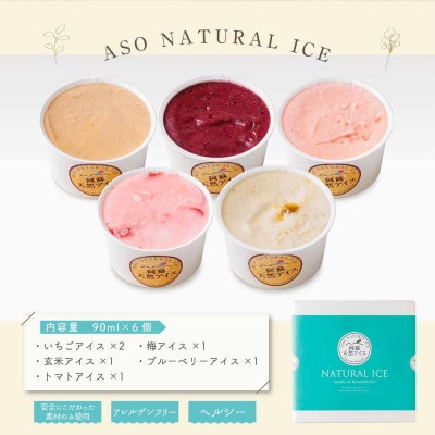 阿蘇天然アイス　～極みシリーズ～　6個セット