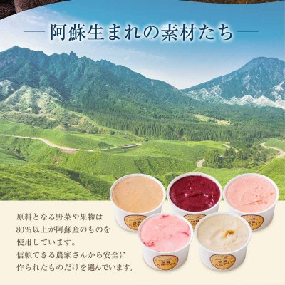 阿蘇天然アイス　～極みシリーズ～　6個セット