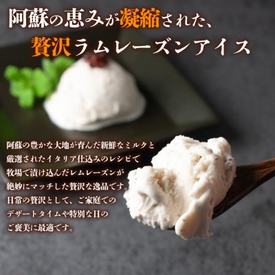 阿部牧場　阿蘇ミルクアイス　ラムレーズン【2L】