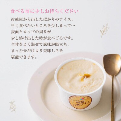 阿蘇天然アイス18個セット(生キャラメルチョコ・ブルーベリー・抹茶・いちご・マンゴー・ミルク)