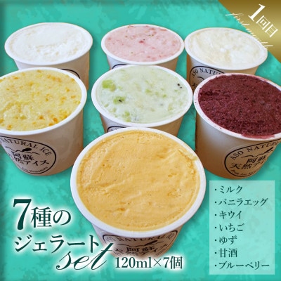 【毎月定期便】阿蘇天然アイスのアイスクリームやジェラートをお届け全3回