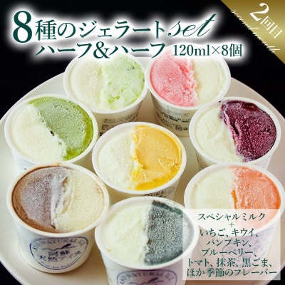 【毎月定期便】阿蘇天然アイスのアイスクリームやジェラートをお届け全3回