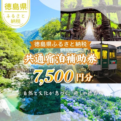 徳島県 宿泊券 7,500円分