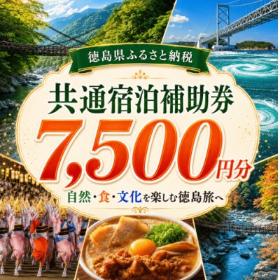 徳島県 宿泊券 7,500円分
