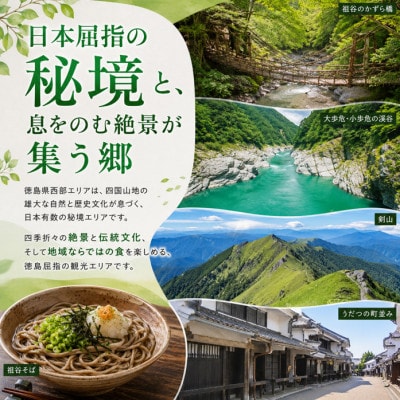 徳島県 宿泊券 7,500円分