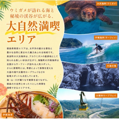 徳島県 宿泊券 7,500円分