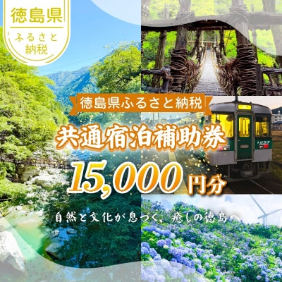 徳島県 宿泊券 15,000円分