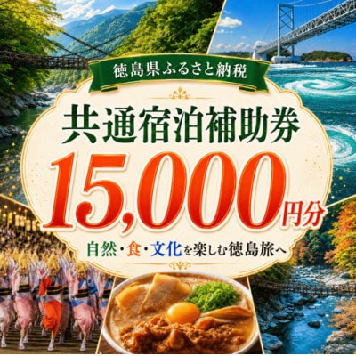 徳島県 宿泊券 15,000円分