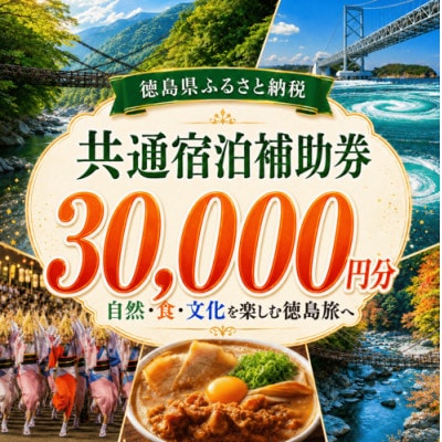 徳島県 宿泊券 30,000円分