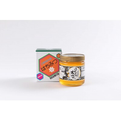 はちみつ 国産 1瓶 600g みかん はちみつ太良 国産はちみつ 日本製