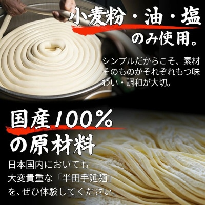 そうめん 素麺 半田そうめん 冷凍 3袋 つゆ なし 個包装 手延べ コシ めん