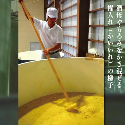 芋焼酎 飲み比べ セット 2本 720ml