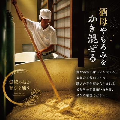 芋焼酎 飲み比べ セット 2本 720ml
