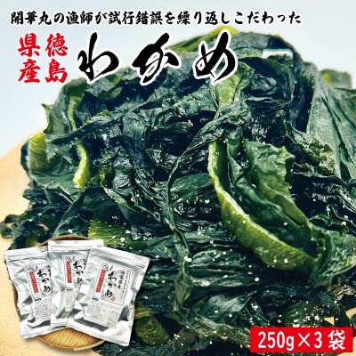 わかめ 250g×3袋 塩蔵 わかめ スープ ご飯
