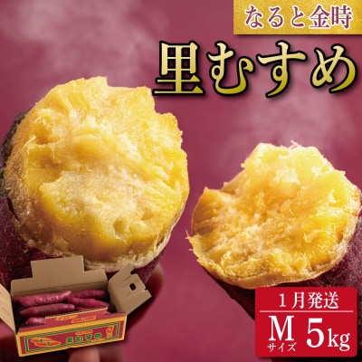 さつまいも 鳴門金時 5kg 2026年1月発送 なると金時 Mサイズ 里むすめ
