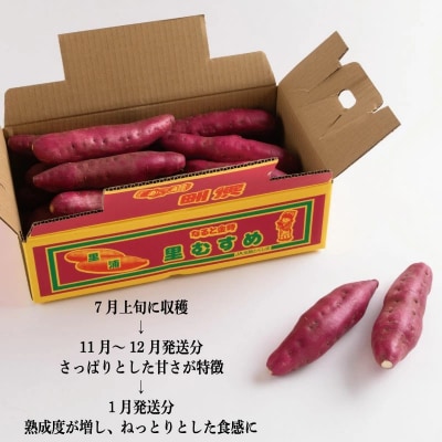 さつまいも 鳴門金時 5kg 2026年1月発送 なると金時 Mサイズ 里むすめ