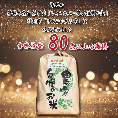 米 2kg お米 新米 令和7年産 コシヒカリ 精米