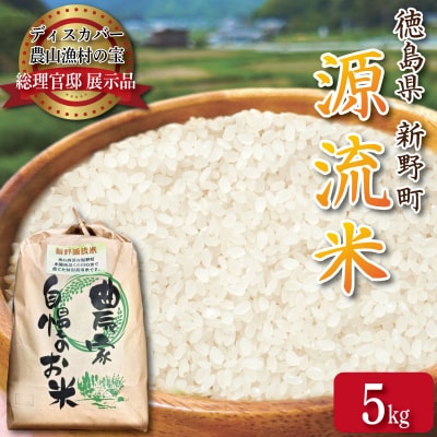 米 5kg お米 新米 令和7年産 コシヒカリ 精米