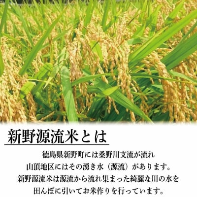 米 5kg お米 新米 令和7年産 コシヒカリ 精米