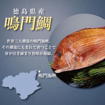 【9月～12月発送】鳴門鯛 1kg ラウンド 1尾