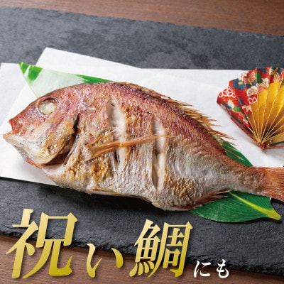 【9月～12月発送】鳴門鯛 1kg ラウンド 1尾