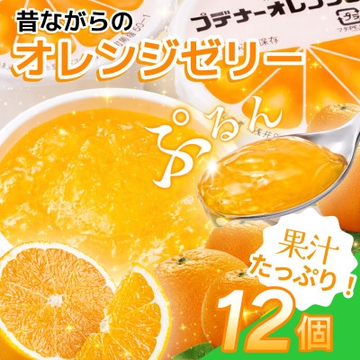 プデナーオレンジゼリー12個