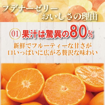 プデナーオレンジゼリー24個